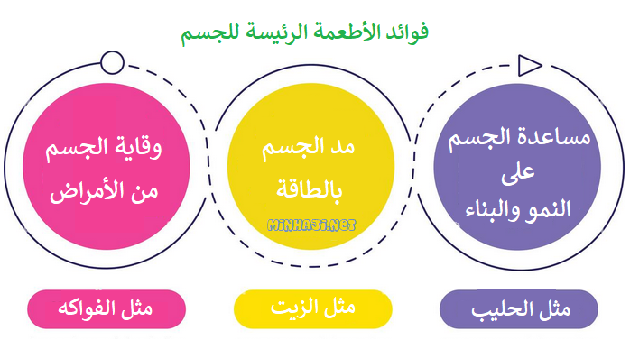 فوائد الأطعمة الرئيسة للجسم